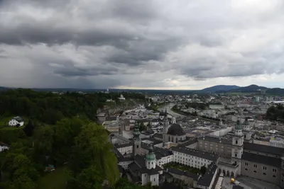 DSC_6366 (Large).JPG